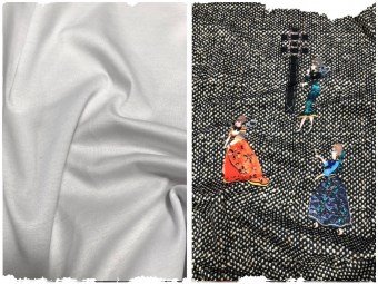 Джерси АНП2